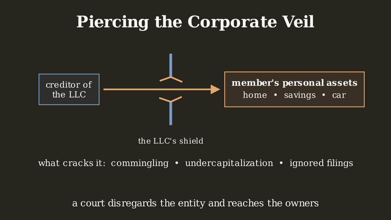 Definition 1.3.4 — Piercing the corporate veil: a court disregards the entity and lets a creditor reach the members personally.