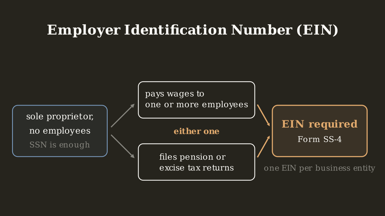A left box reading sole proprietor, no employees, SSN is enough sits beside two stacked trigger boxes, pays wages to one or more employees and files pension or excise tax returns, joined by the label either one, with both boxes arrows converging on an accent box reading EIN required, Form SS-4, above a note reading one EIN per business entity.