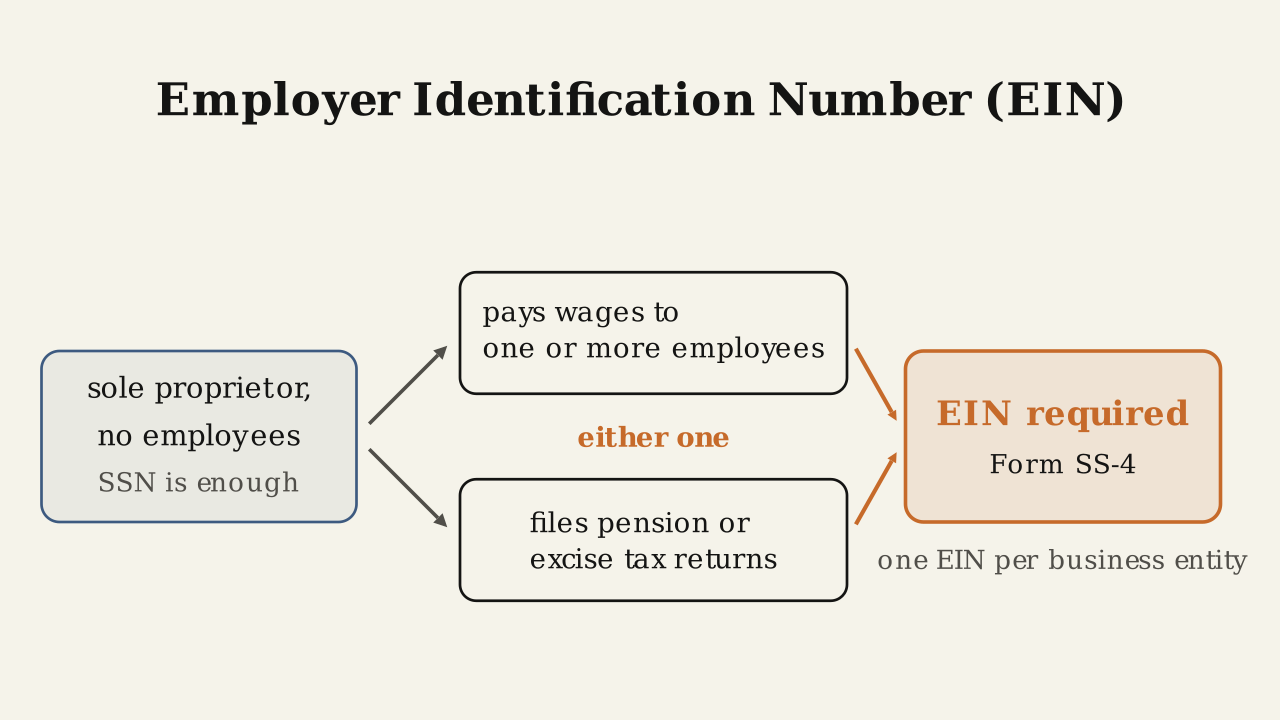 A left box reading sole proprietor, no employees, SSN is enough sits beside two stacked trigger boxes, pays wages to one or more employees and files pension or excise tax returns, joined by the label either one, with both boxes arrows converging on an accent box reading EIN required, Form SS-4, above a note reading one EIN per business entity.